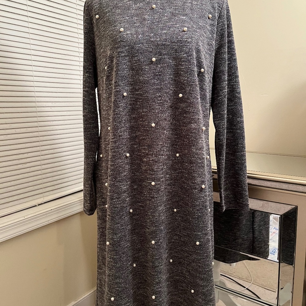 New! Ann Taylor Pearl Embellished Sheath